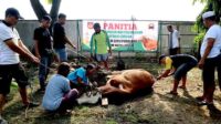 Dandim Pemalang Serahkan Hewan Kurban kepada Panitia