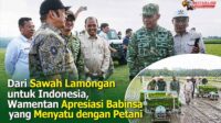 Dari Sawah Lamongan untuk Indonesia_DN