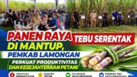 Bupati Lamongan Hadiri Panen Raya Tebu Serentak di Mantup