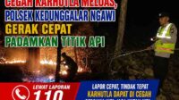 Cegah kebakaran hutan dengan cepat