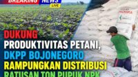 Dukungan Pupuk untuk Petani Bojonegoro