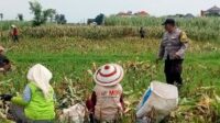 IMG-20260828-WA0094_copy_558x335
